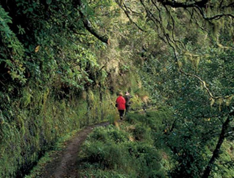 Dorisol Pousada Dos Vinhaticos Serra de Água Exterior foto
